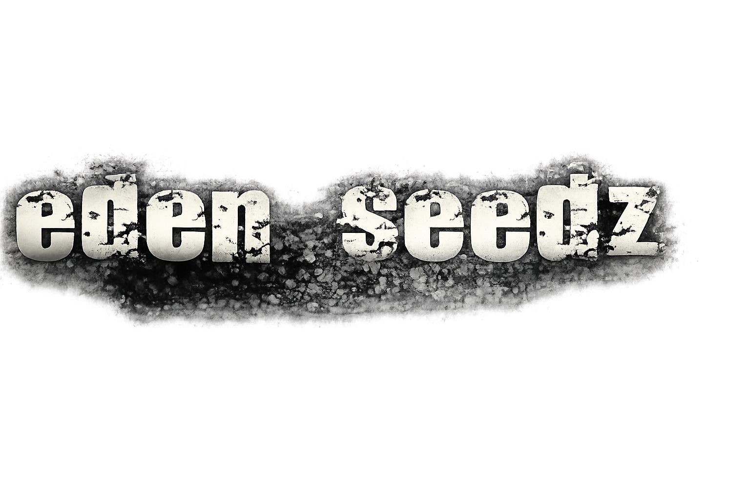 Eden Seedz — Groupe acoustique indie pop folk blues en Alsace